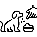 Pet Drinking & Feedings